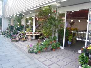 http://www.sirim.co.jp/shop/files/honten_5.JPG